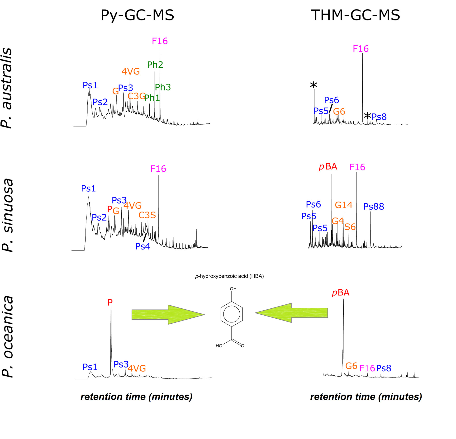 v10n2 by Scientia Chromatographica - Issuu